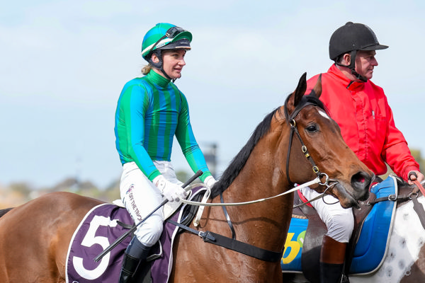 Hurricane Georgie is gorgeous (image Scott Barbour,Racing Photos)