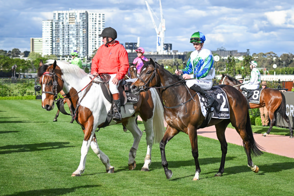 Hurry Curry Oaks bound (image Reg Ryan/Racing Photos)