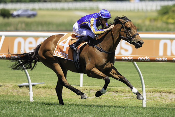 Richly deserved stakes success for Hypothetical (image Grant Courtney)