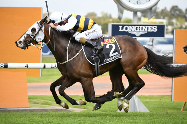 I'm Thunderstruck wins the Golden Eagle, a race that is pivotal to this sire table - image Steve Hart.