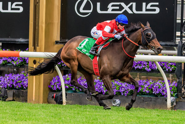 The icing on the cake - Icebath winning the G1 Empire Rose - image Grant Courtney 