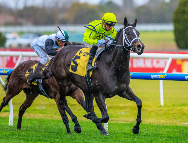 I Am Velvet looks to be enjoying herself more than her jockey (image Grant Courtney)