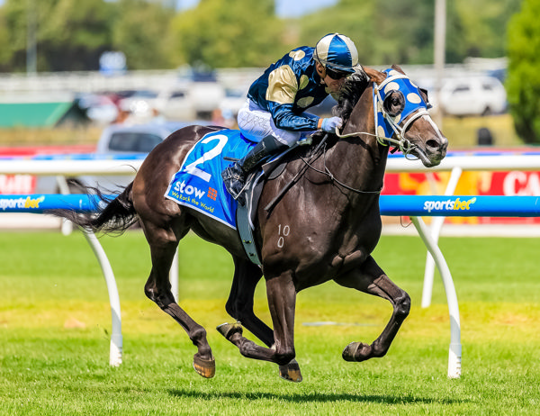 Immediacy streaks away in the Autumn Classic (image Grant Courtney)