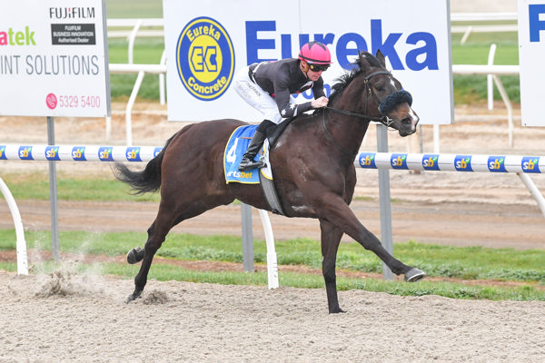 Immortal Shield a class above (image Pat Scala/Racing Photos). 