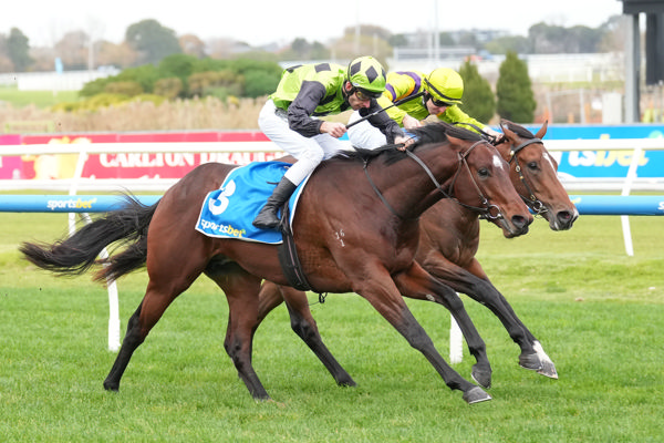 Epic battle between two sons of Blue Point (image Scott Barbour Racing Photos)