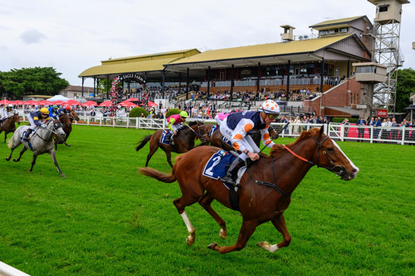 Just Folk all the way (image  Racing Queensland/Michael McInally)