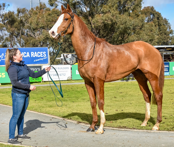 Super money spinner (image Brendan McCarthy/Racing Photos)