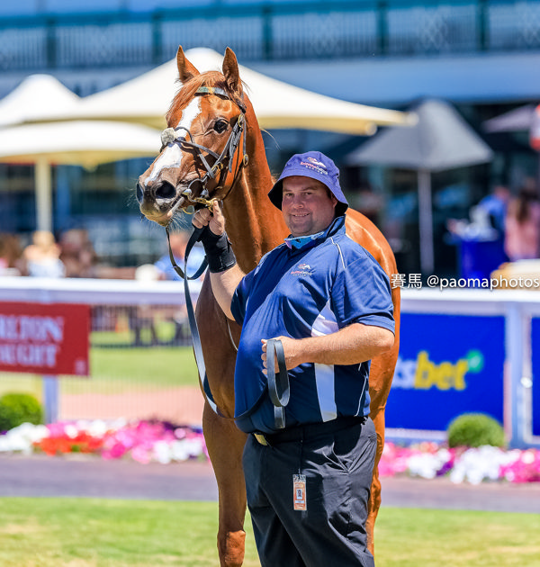 Filly with a big future (image Grant Courtney)