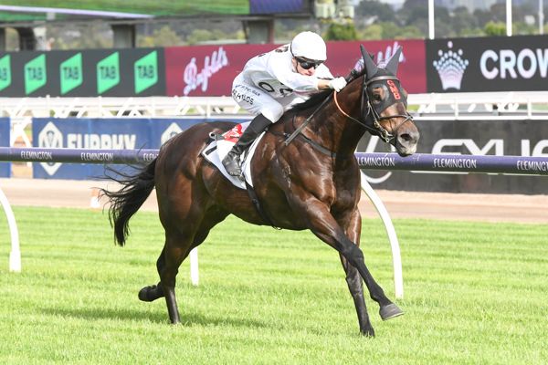 Carrying the colours made famous by Taj Rossi, Katsu opens his stakes account (image Brett Holburt/Racing Photos)