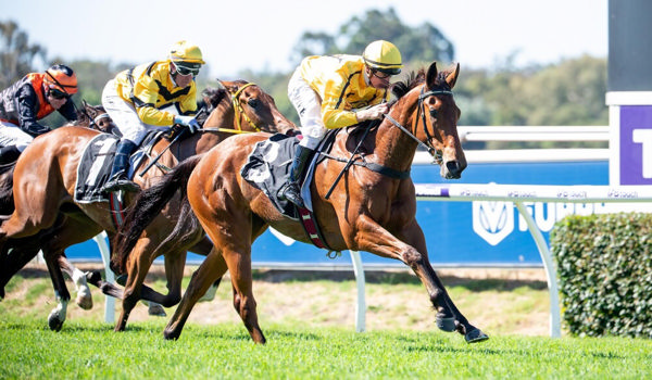 That's four for four (image The Races WA/Western Racepix)