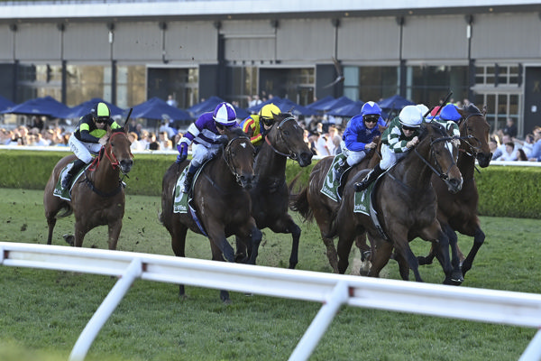 Kimochin won first up in the Yulong colours - image Steve Hart