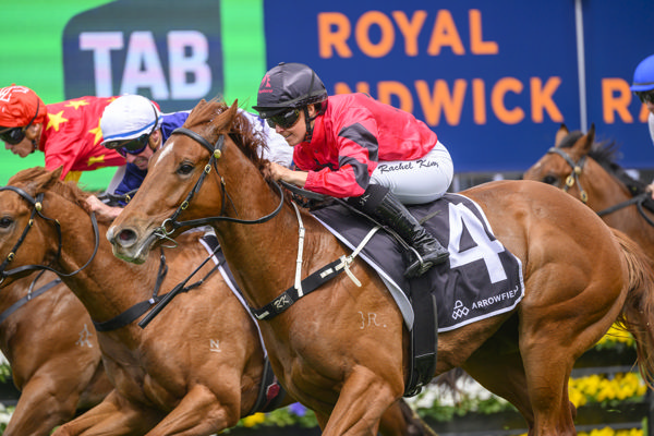 Gai and Adrian had the trifecta in the G3 Breeders Plate for the second year in a row with king Kirk leading the way - image Steve Hart