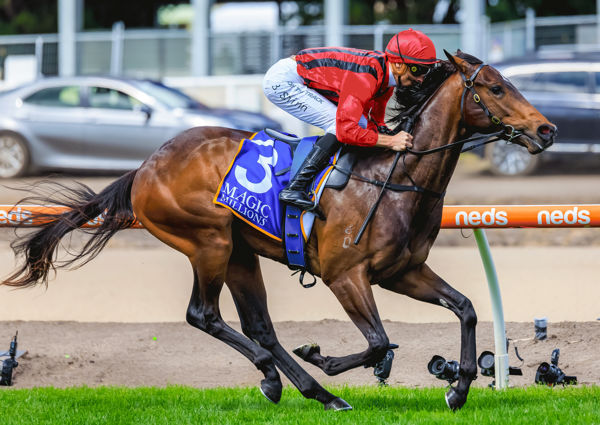 King's Gambit has plenty of ability, but will that translate to G1 success - image Grant Courtney 