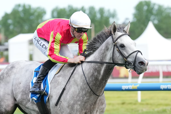 Kingswood on an upward trajectory  (image Scott Barbour/Racing Photos)