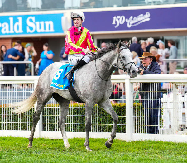 Some great greys in this family (image Scott Barbour/Racing Photos)