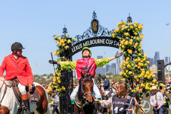 Knight's Choice returns triumphant at Flemington - image Grant Courtney