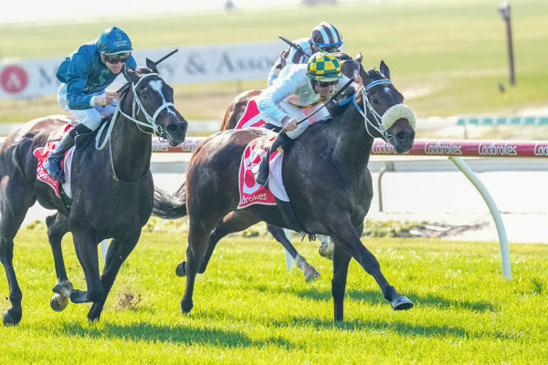 The $1million Snitzel filly Kirribilli gets the job done on debut (image Scott Barbour/Racing Photos)