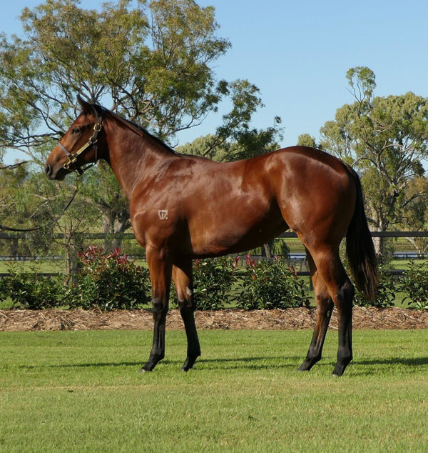 Kitri is making a mockery of her $4,000 purchase at the 2021 Inglis December Online Sale 