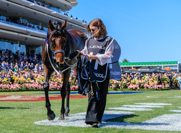 Queenslander!!! (image Grant Courtney)