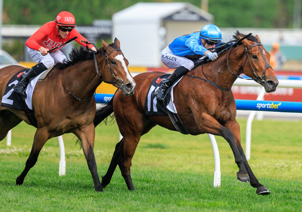 Lady In Pink goes for home (image Grant Courtney)