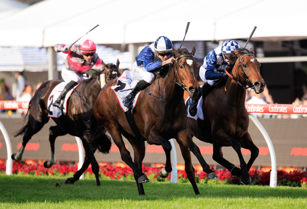 A dramatic finish to a memorable Cox Plate Day (image Grant Courtney)