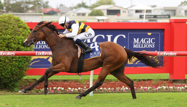 Two time SW Lady Laguna has won over $700,000 in prizemoney.. 