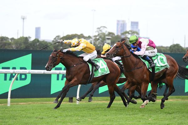 Written Tycoon filly Lady of Camelot wins the golden Slipper - image Steve Hart