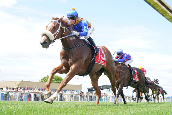 She has the looks and breeding (image Scott Barbour/Racing Photos)