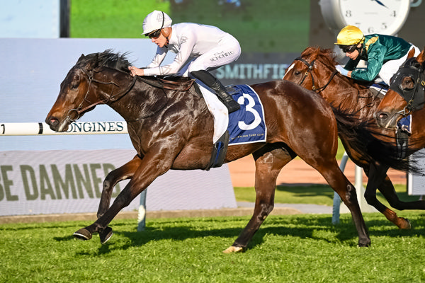 Libertad has won a pair of Group races and nearly $300,000 in prizemoney - image Steve Hart