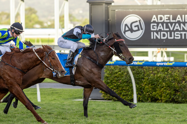 A great day for the locals (image Racing SA)