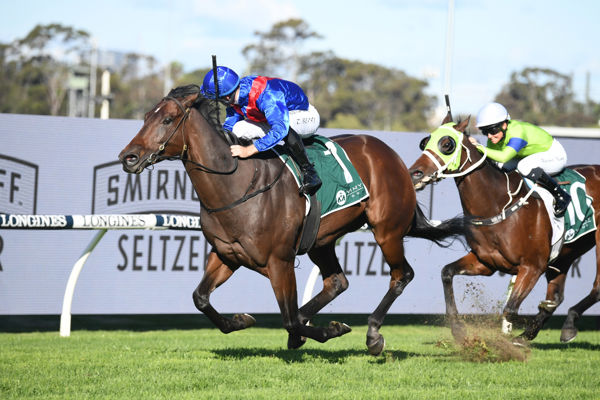 Kiwi bred Per Incanto (USA) gelding Lost and Running has secured an Everest slot - image Steve Hart.