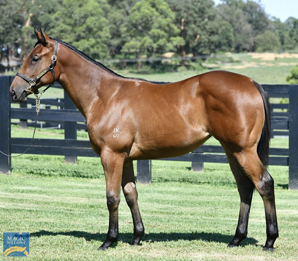 Lot 30 - click to watch parade.