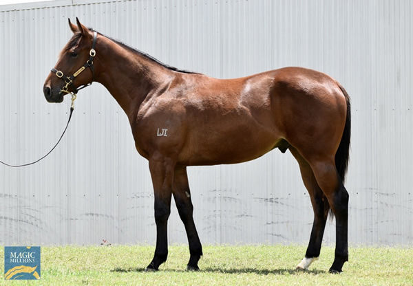 Lot 75 - click to watch parade.