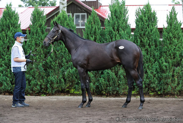 The sale topping $6.8 million son of Deep Impact