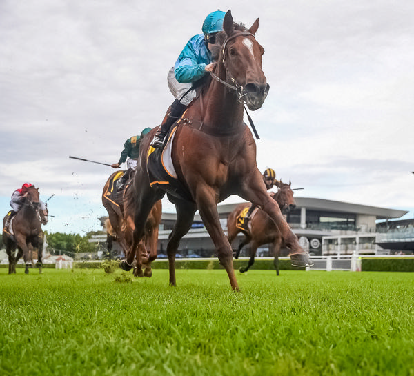 Madrina breaks her maiden (image Steve Hart)