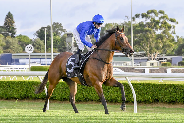 A Filly Of Substance From The Family Of Champion Lonhro - Image Bradley Photos