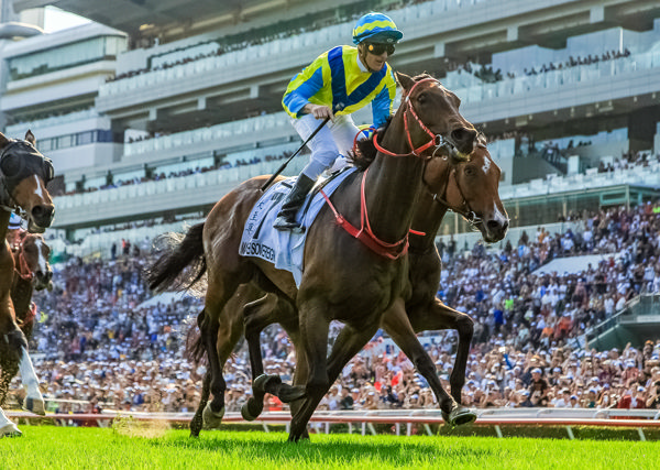 A second Hong Kong Derby for Zac (image Grant Courtney)