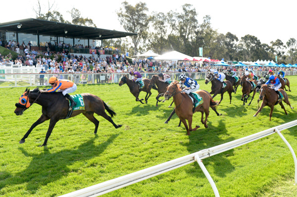 Midnight Blue wins Seymour Cup before an enthusiastic crowd (image Brett Holburt/Racing Photos)