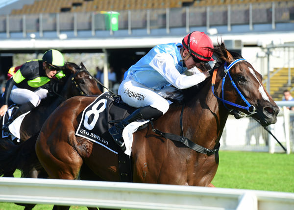 Four on the bounce for Mishani Royale (image Brisbane Race Club)