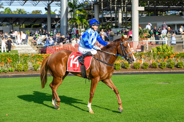 Take a bow Angela Jones (image Magic Millions/Michael McInally 