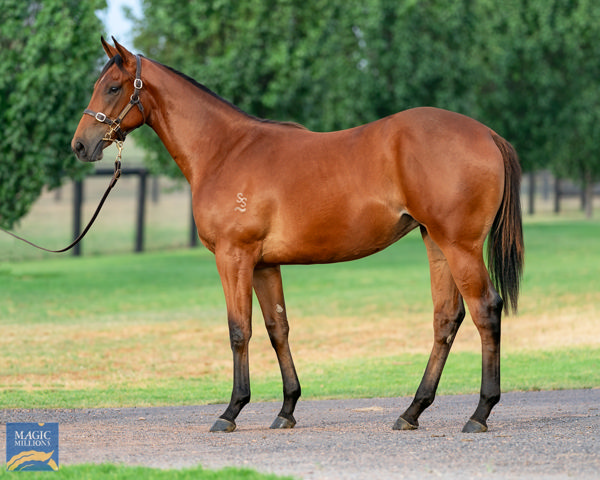 $1.15million I Am Invincible filyl from Eloping.