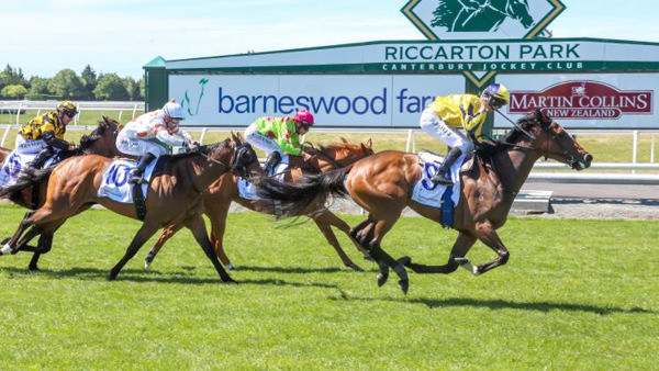 Molly Bloom winning the Gr.1 New Zealand 1000 Guineas (1600m) at Riccarton on Saturday.  Photo: Race Images South