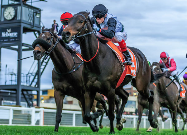 Mr Brightside wins the G2 PB Lawrence Stakes - image Grant Courtney