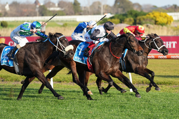 Mr Brightside pins the ears back (image Scott Barbour/Racing Photos)