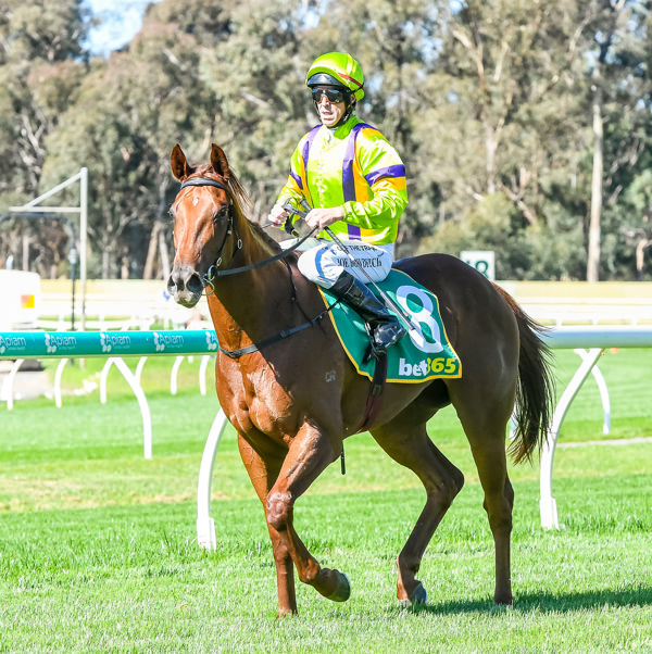 Nodachi is out of a three-quarter sister to triple Group 1 winner Flamberge (image Brett Holburt/Racing Photos)