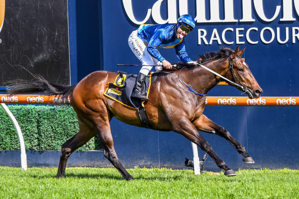 G1 Thousand Guineas winner Odeum has a three-quarter sister to be offered at the Gold Coast - image Grant Courtney.