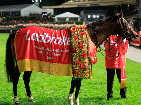 Okita Soushi sporting the winners spoils (image Grant Courtney)