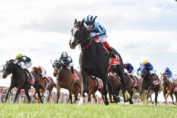 Onesmoothoperator could not have been any more impressive (image Pat Scala/Racing Photos)