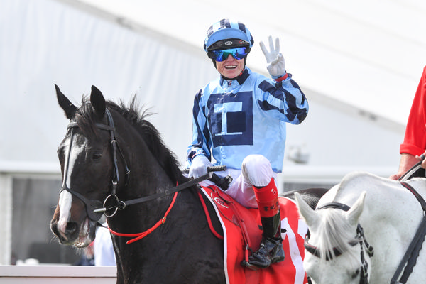 A sixth Geelong Cup for Craig Williams (image Racing Photos)