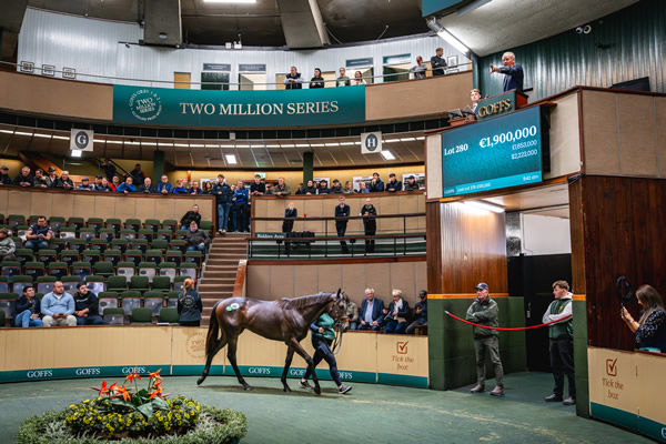 1.9million No Nay Never filly the sat of the show - image Goffs